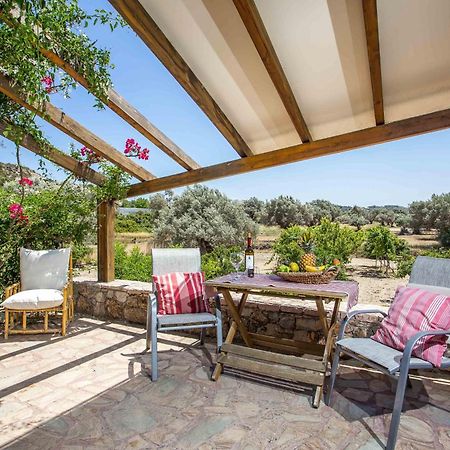 Sunny Countryside Villa - With Private Pool Фаліракі Екстер'єр фото